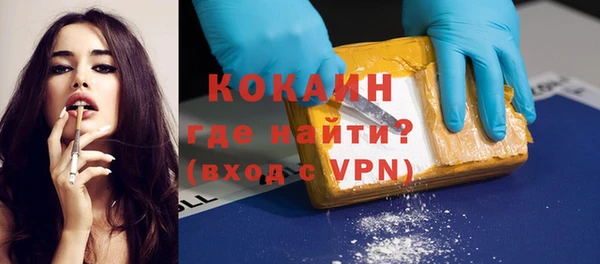 ПСИЛОЦИБИНОВЫЕ ГРИБЫ Гусь-Хрустальный