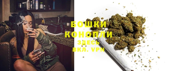 Альфа ПВП Щучье