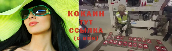 ПСИЛОЦИБИНОВЫЕ ГРИБЫ Гусь-Хрустальный