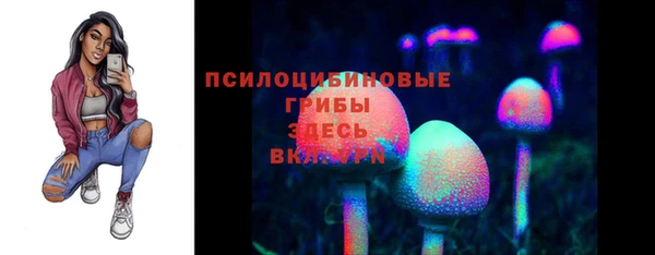 крисы Гусиноозёрск
