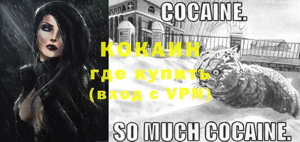 ПСИЛОЦИБИНОВЫЕ ГРИБЫ Гусь-Хрустальный