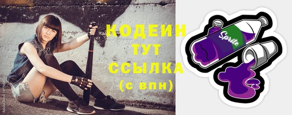 ПСИЛОЦИБИНОВЫЕ ГРИБЫ Гусь-Хрустальный