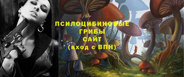 крисы Гусиноозёрск