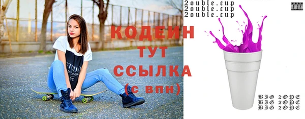 ПСИЛОЦИБИНОВЫЕ ГРИБЫ Гусь-Хрустальный