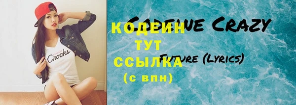 ПСИЛОЦИБИНОВЫЕ ГРИБЫ Гусь-Хрустальный